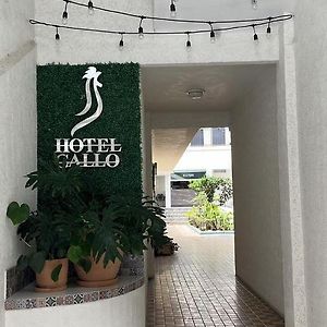 Hotel Gallo